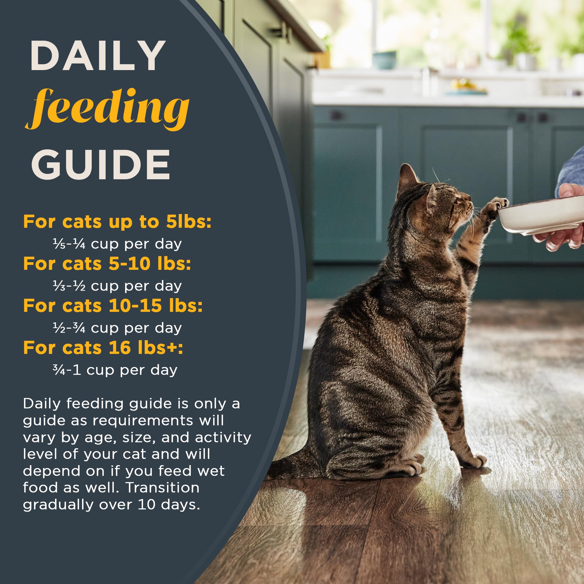 Reveal Natural Grain-Free Dry Cat Food with Whitefish - No Potatoes, Added Vitamins & Minerals - 3 lb Bag - Perfect for Adult Cats & Kittens with Sensitive Stomachs