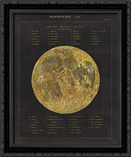 Canvas Art in a Black Ornate Wood Frame