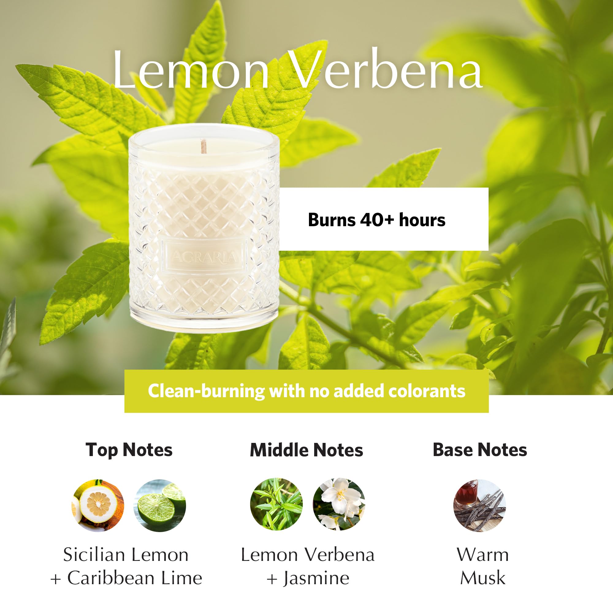 AGRARIA Premium Scented Soy Wax Candles | Long-Lasting Vegan Home Fragrance | Elegant 7oz Gift Set for Relaxation, Meditation & Romantic Ambiance