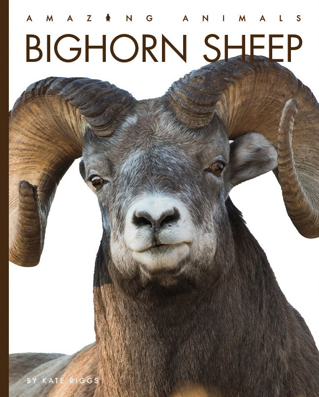 Big Horn Sheep Book 9781640265608 - Wildlife Education & Nature Exploration for Kids & Adults