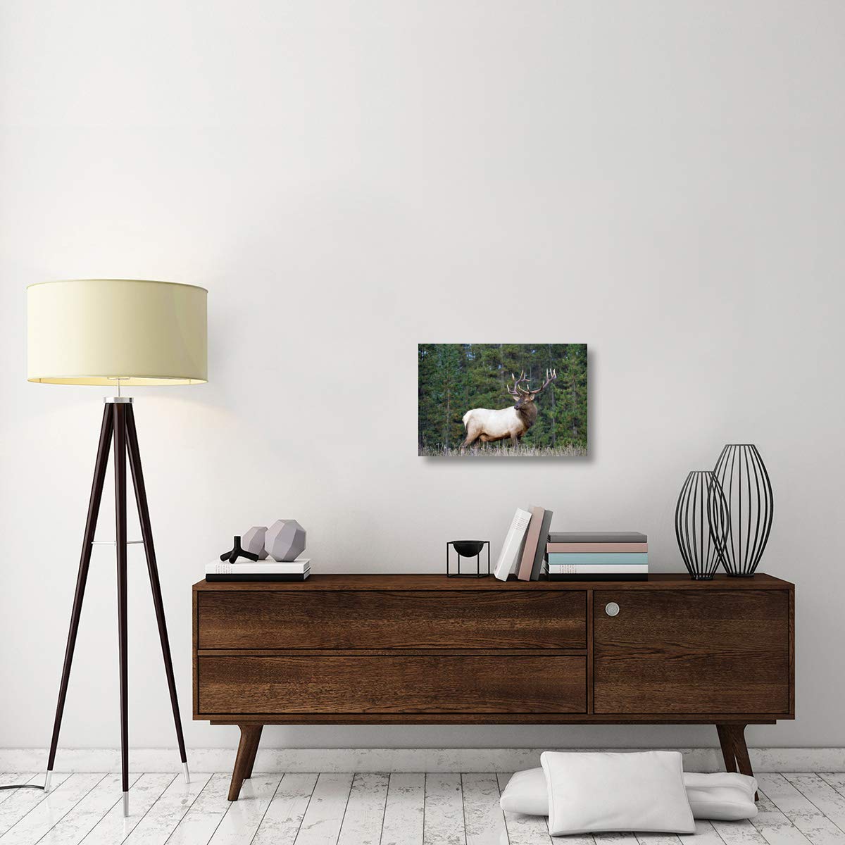 Global Gallery Elk or Wapiti Male Portrait Canvas Art - 24x16 Inches - North American Wildlife Wall Decor for Living Room, Office & Cabin