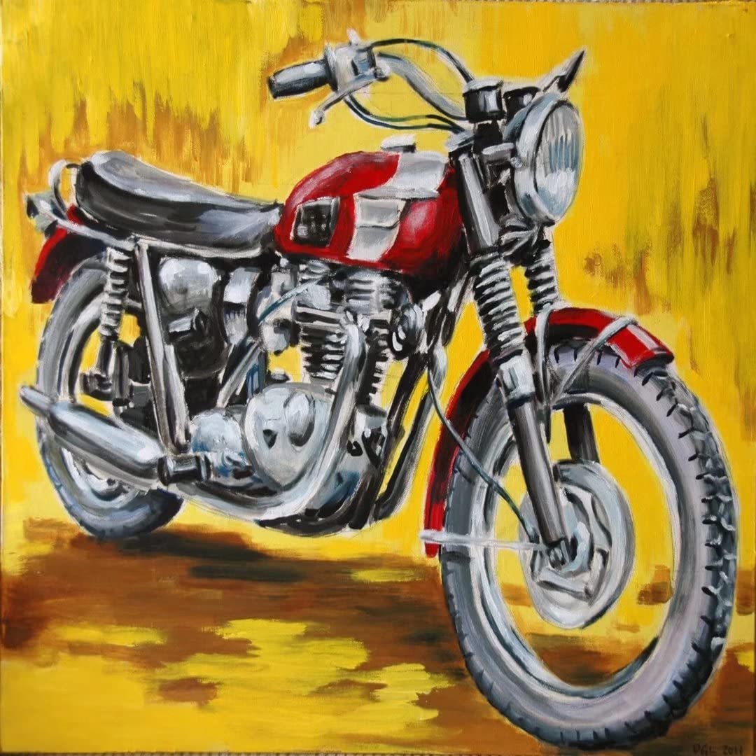 1000 Piece Motorcycle Jigsaw Puzzle for Adults & Kids - 38x26cm Large Educational Puzzle Game for Stress Relief & Family Fun | Perfect for Home Decor, Birthday Gifts & Relaxation Activities