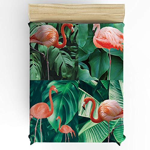Flamingossr8038