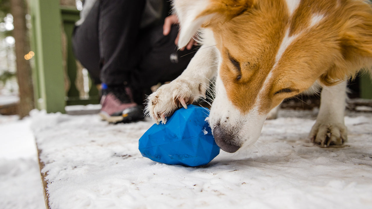 Ruffwear® Gnawt A Cone® Salamander Orange Dog Chew Toy & Treat Dispenser - Durable Interactive Play for Active Dogs, Perfect for Fetch, Training, and Outdoor Adventures