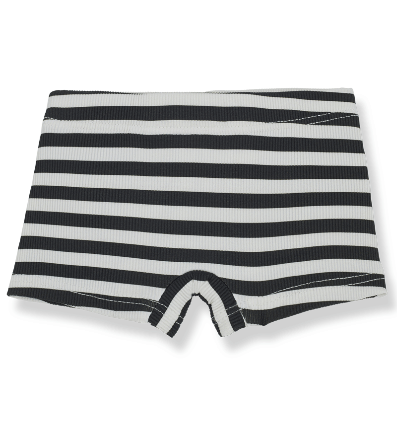 1+ in the Family Men's Anthracite Striped Swim Trunks - Quick-Dry Beach Shorts for Swimming, Vacation & Summer Activities