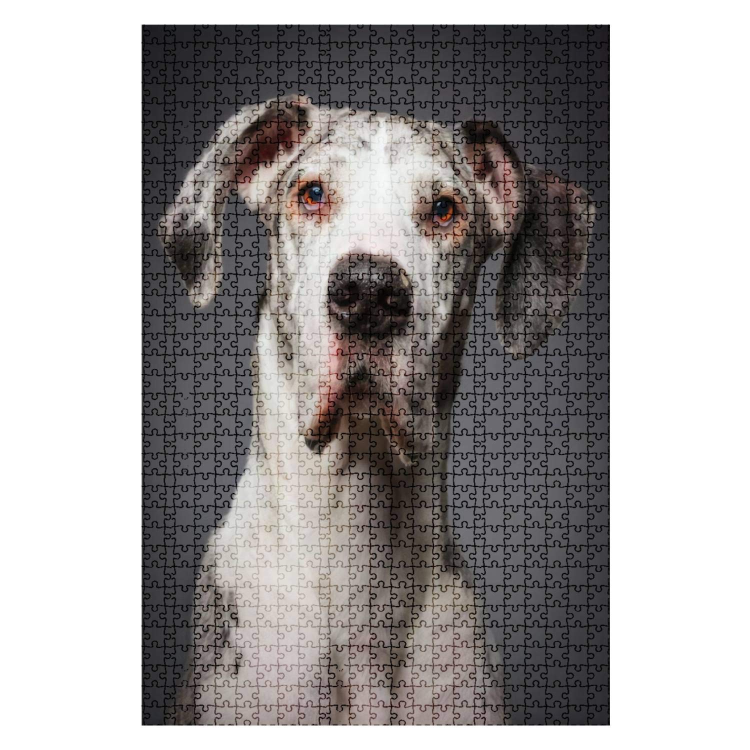 1000-Piece Wooden Jigsaw Puzzle - Great Dane Animal Portrait - Challenging Adult Puzzle for Home Decor & Gift - DIY Educational Game Toy for Family Fun - Perfect for Relaxation, Brain Training & Living Room Decoration