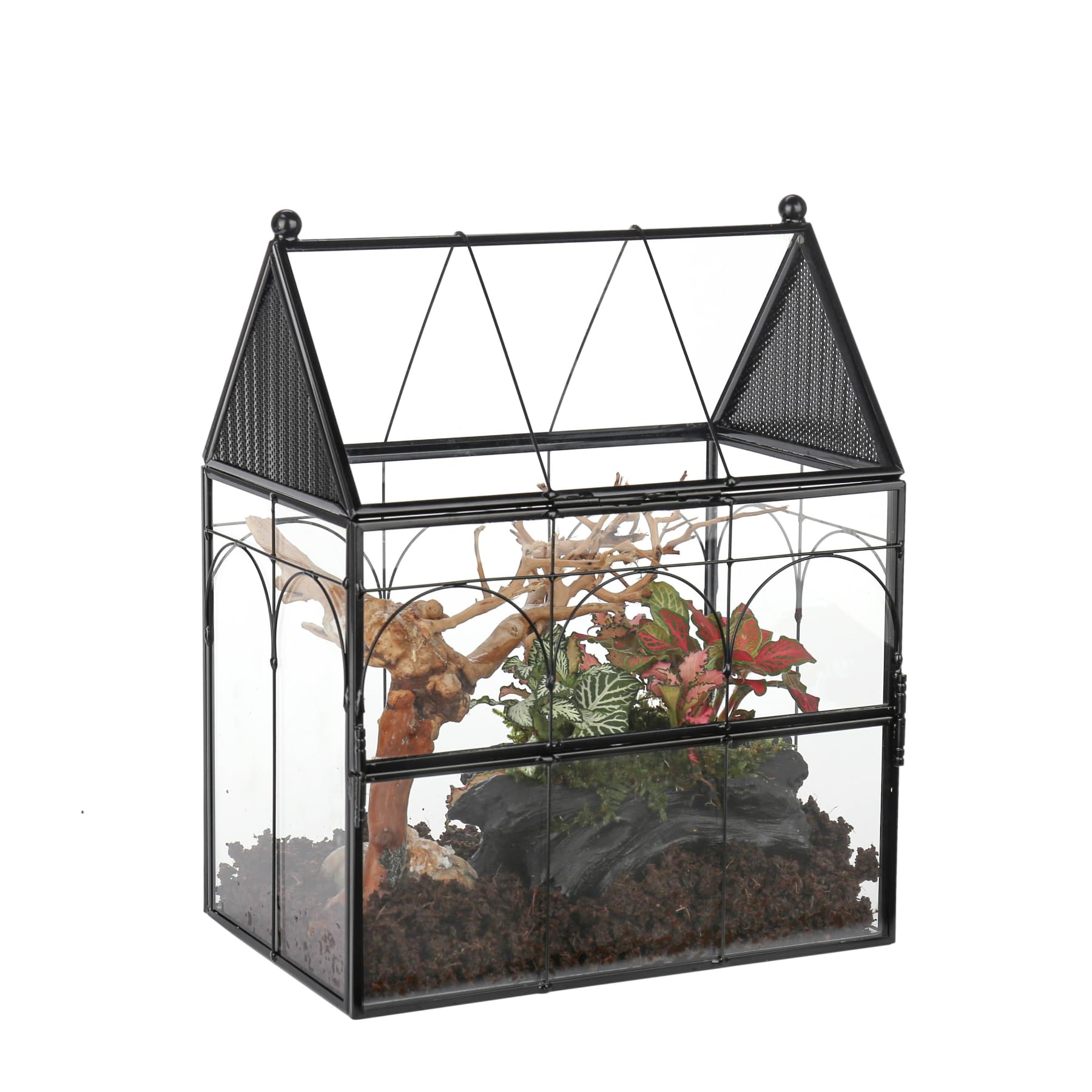 NCYP Glass Terrarium with Ventilation Holes - 7.5x4.9x9 Inch Small House-Shaped Habitat for Jumping Spiders, Insects & Snails - Closed Front Door Succulent Planter - Black Home Decor (No Plants Included) - Perfect for Pet Enclosures, Plant Displays & Decorative Home Accents