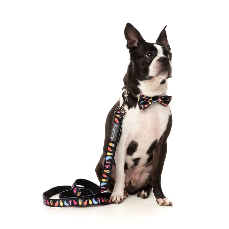 Fuzzyard Bed Bug Repellent Dog Collar for Small, Medium & Large Dogs - Flea & Tick Protection for Pets - Perfect for Outdoor Adventures & Daily Walks