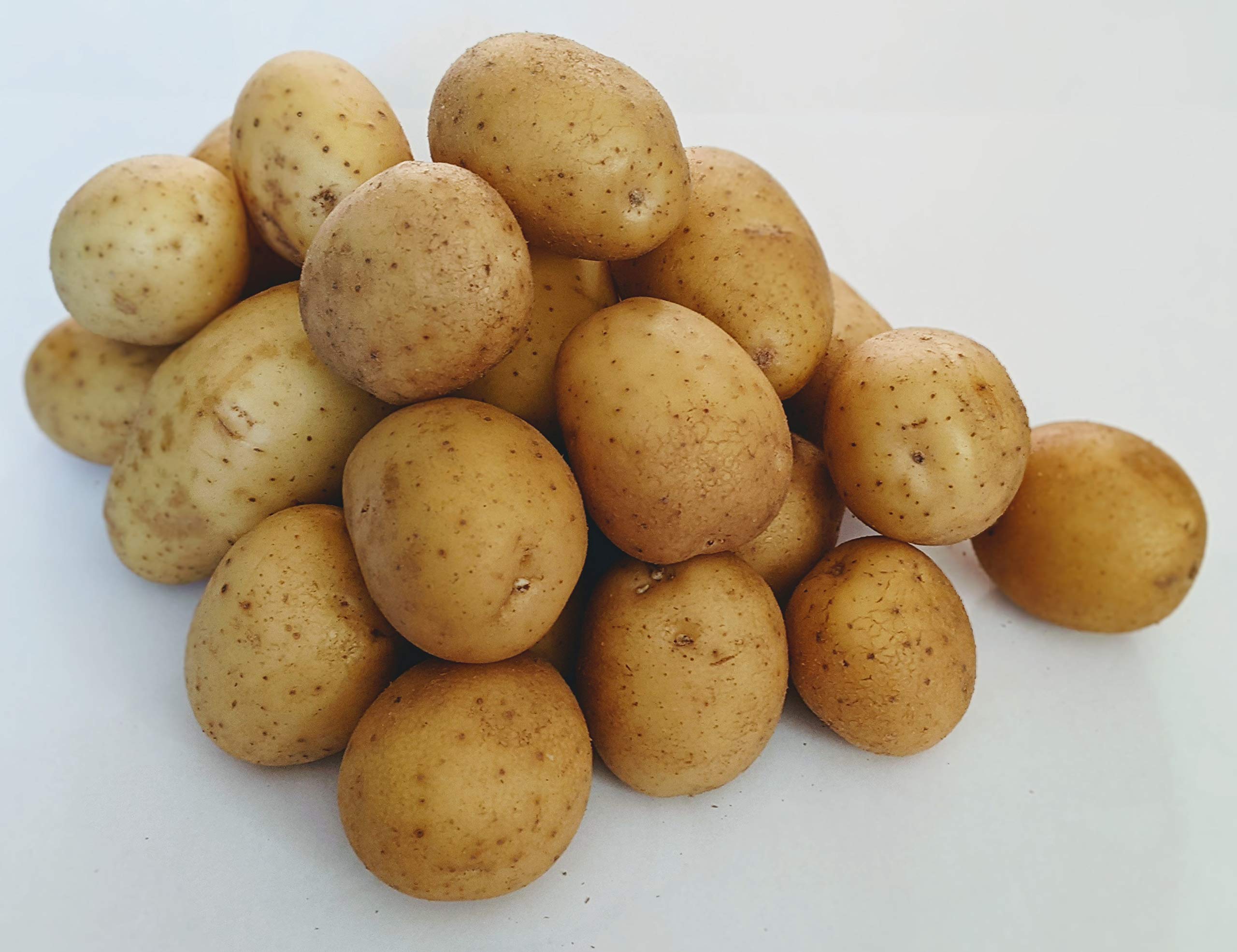 Organic SC Farm Fresh Yukon Gold Potatoes - 5lb Bag | Non-GMO, Pesticide-Free | Perfect for Roasting, Mashing & Baking