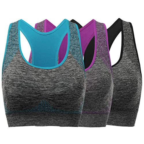 Purple/Black/Blue