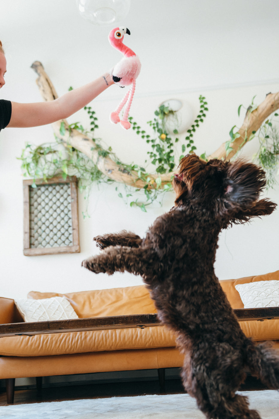 Flora the Flamingo Plush Dog Toy - Soft & Durable Fetching Flock™ Chew Toy for Small & Medium Dogs | Perfect for Playtime, Training & Cuddling | Pet P.L.A.Y.
