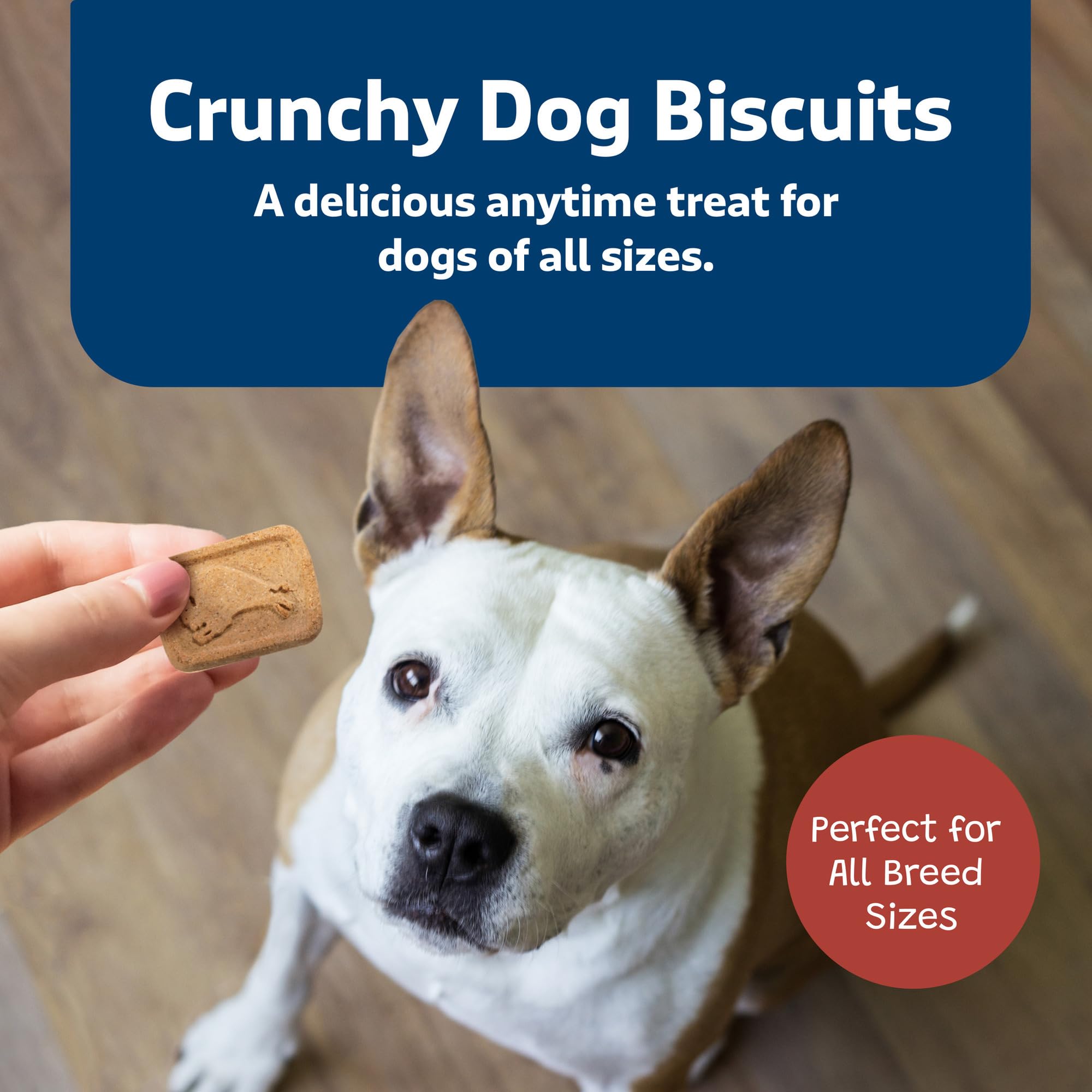 Blue Buffalo Health Bars Natural Crunchy Dog Treats - Mini Biscuits with Bacon, Egg & Cheese Flavor | Healthy Snacks for Small & Medium Dogs | Perfect for Training Rewards & Travel Treats