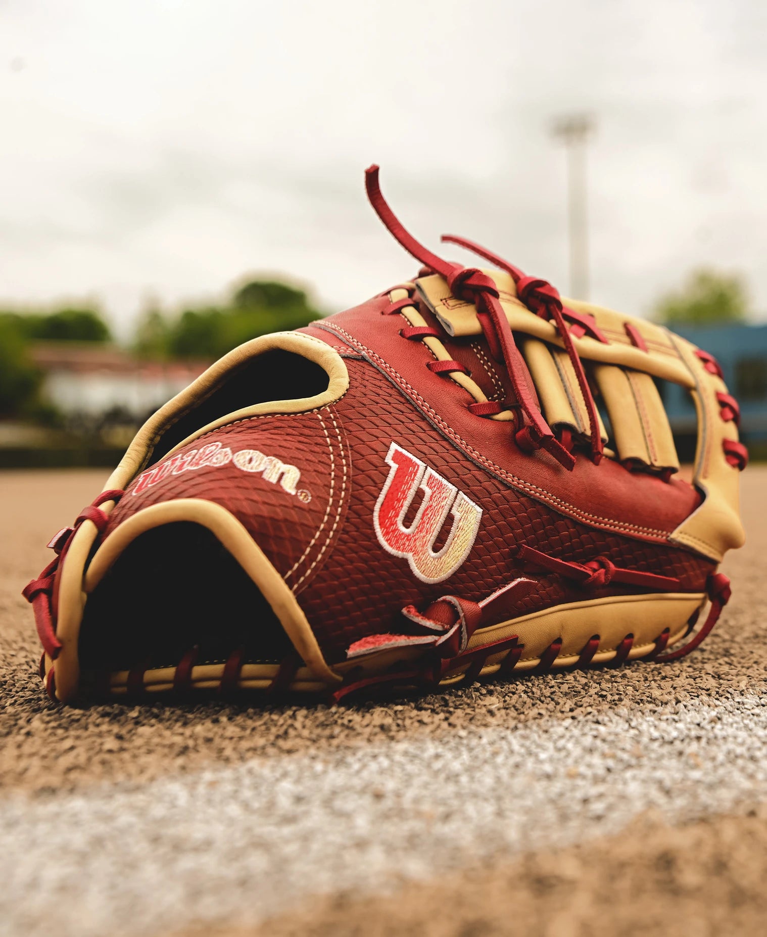 Wilson A2K 1679 12.5
