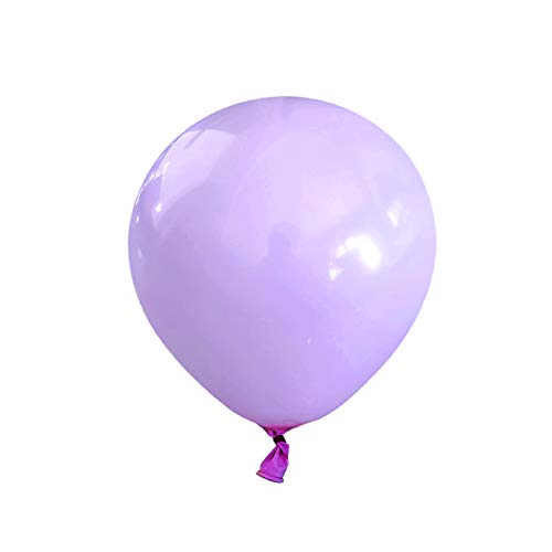 Macaron Purple