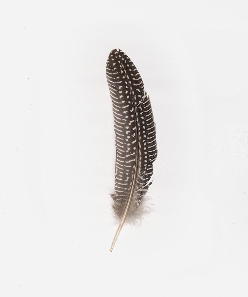 Exquisite Guinea Fowl Feather Hat Accessories for Women - Natural Round Feathers for Bohemian Headpieces, Costumes & DIY Crafts | Perfect for Festivals, Weddings and Vintage Fashion