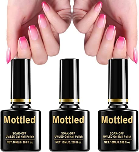 Base Coat-3Pcs