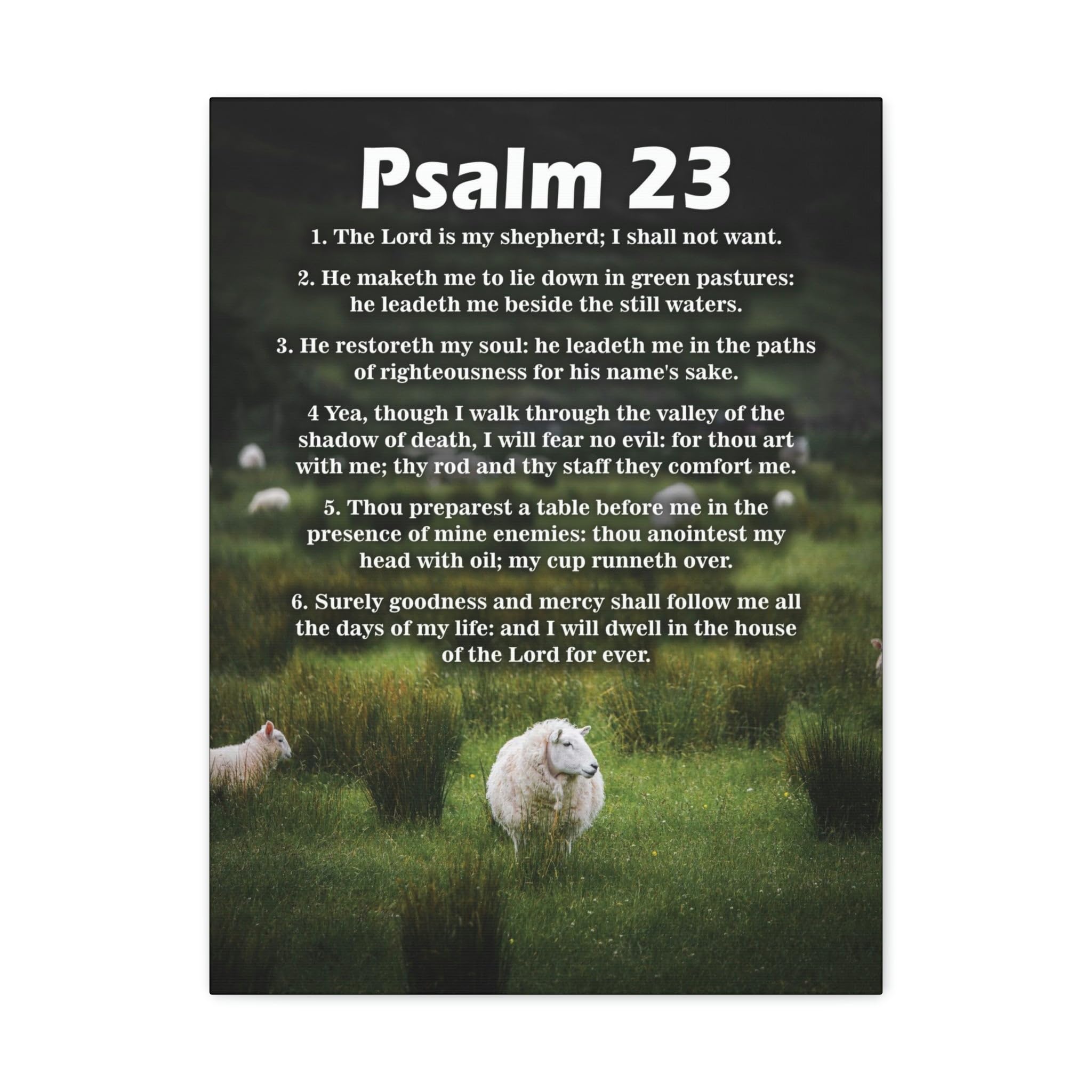 Psalm 23 Bible Verse Canvas Wall Art - Christian Scripture Home Decor for Living Room, Bedroom & Church - Green Scripture Print Gift for Weddings, Baptisms & Religious Occasions