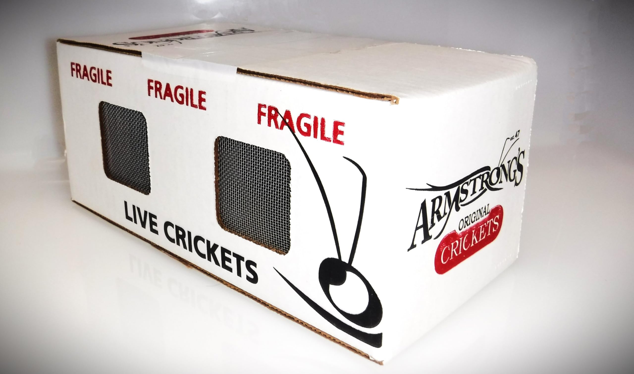 500 Live Crickets - Acheta Domesticus (1