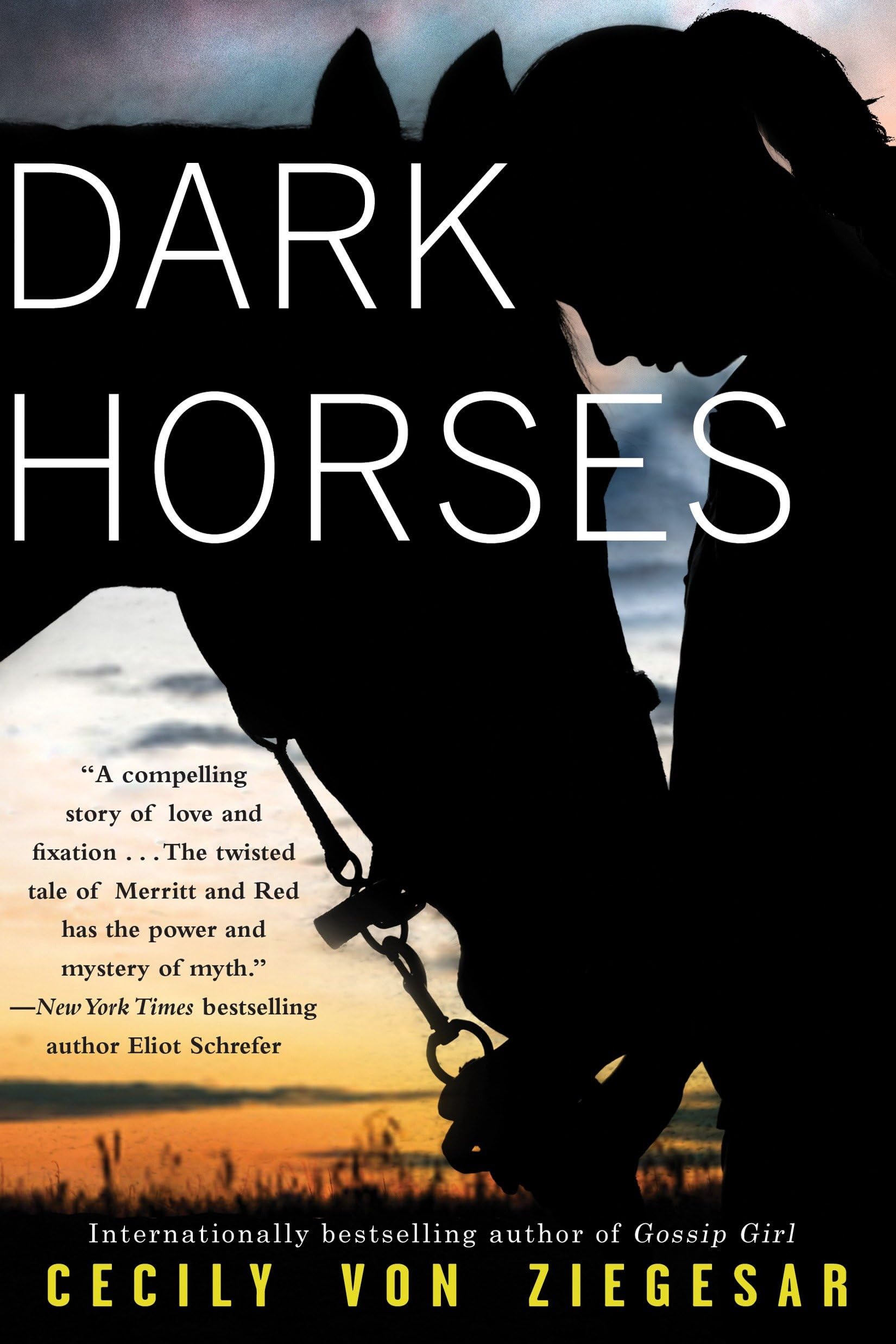Dark Horses for Home & Office Decor