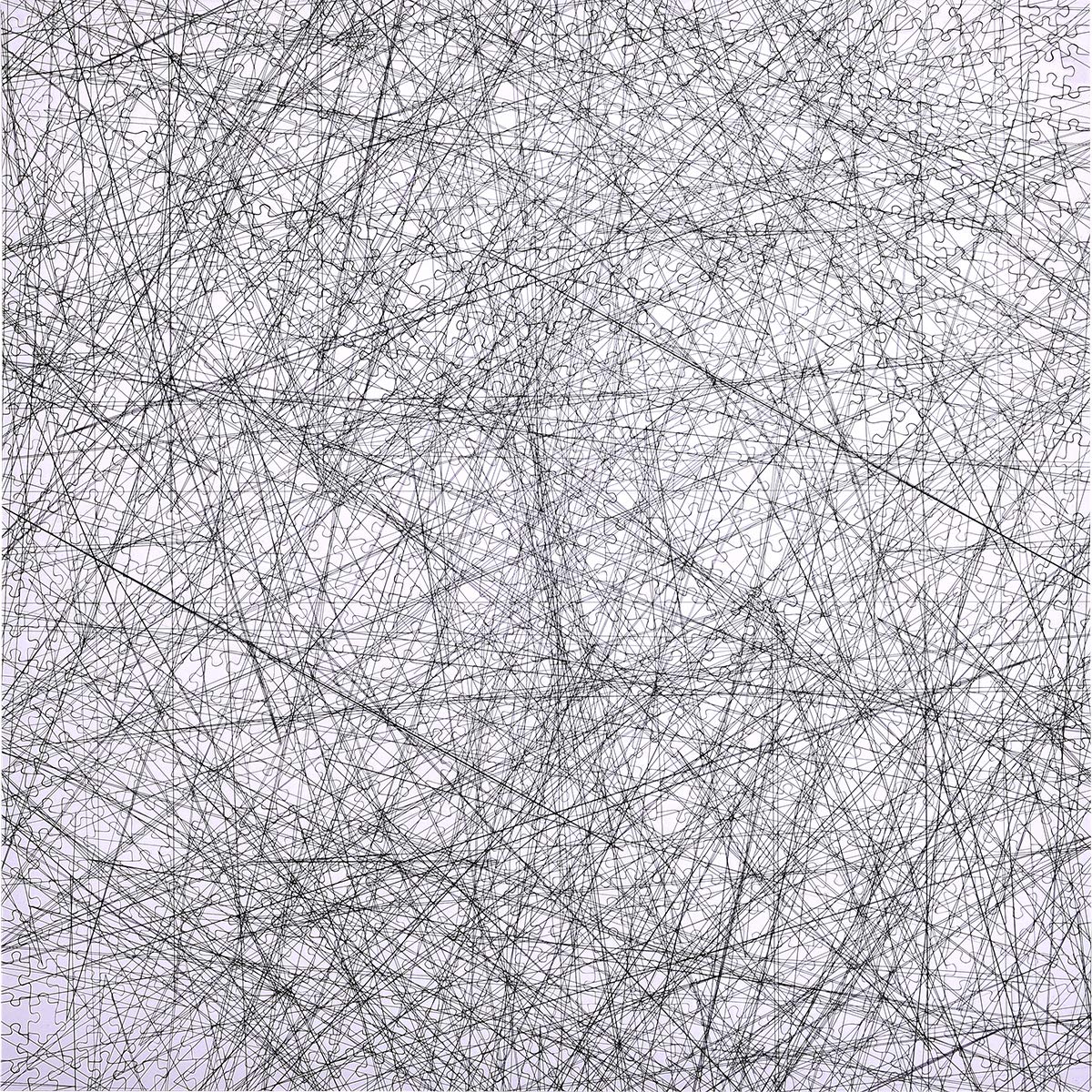 Bgraamiens 1000-Piece Jigsaw Puzzle - The Lines Black & White Challenge | Modern Abstract Art Puzzle for Adults | Perfect for Stress Relief, Family Game Night & Home Decor