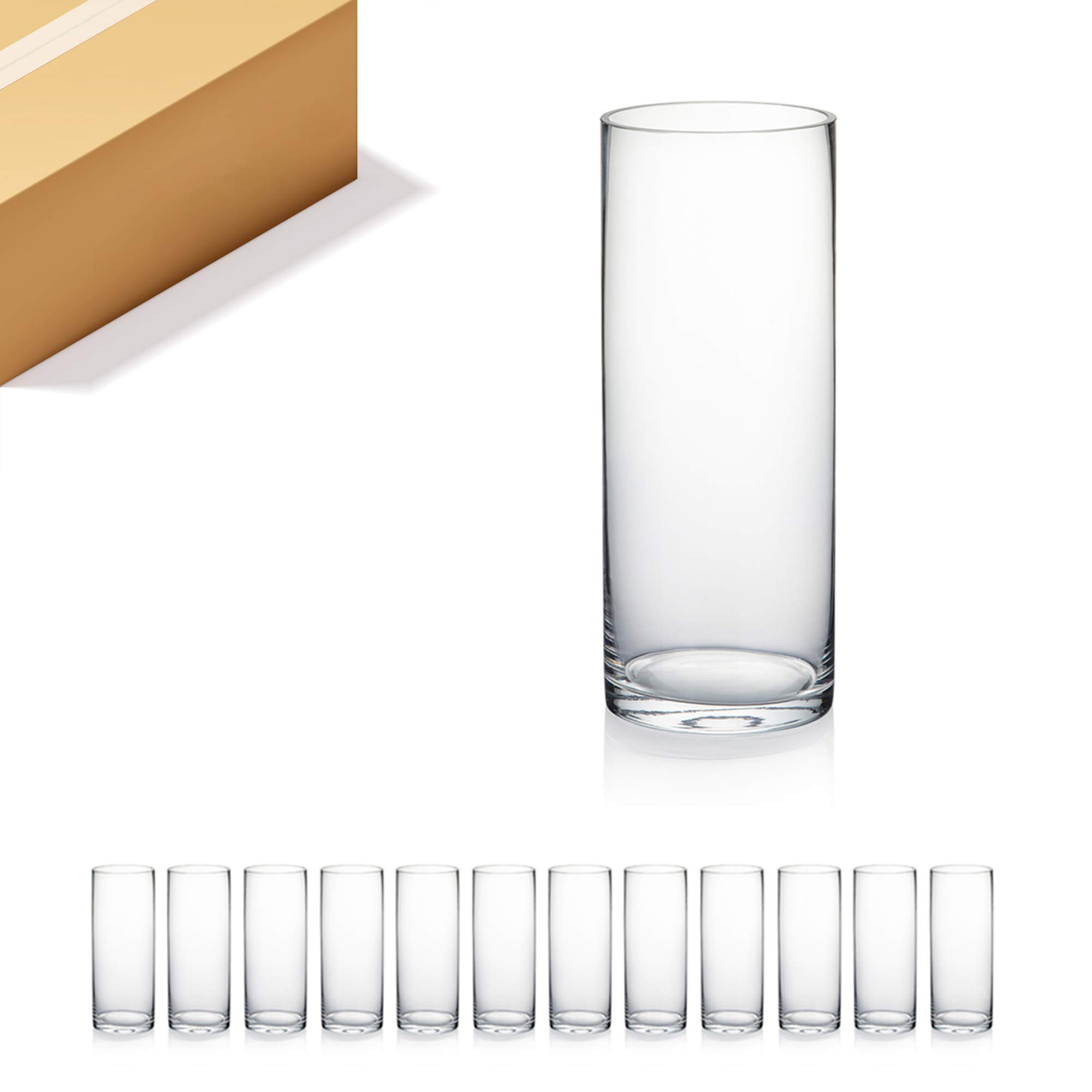 Premium Weighted Clear Glass Cylinder Vases - 4