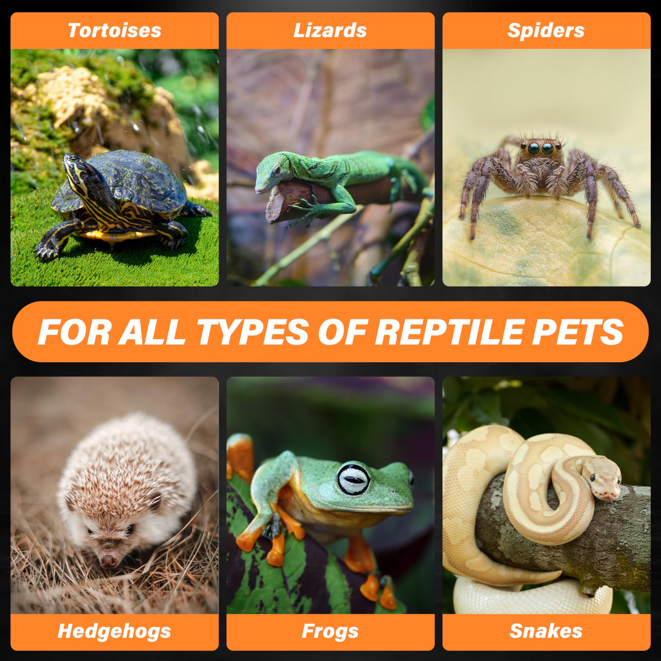 Simple Deluxe 100W Ceramic Heat Emitter 2 Pack - No Light Reptile Heat Lamp Bulb for Bearded Dragons, Snakes, Turtles & Terrariums - Ideal for Amphibian Habitats, Brooder Coops & Chicken Incubation - Provides Safe 24/7 Heating for Reptiles & Poultry