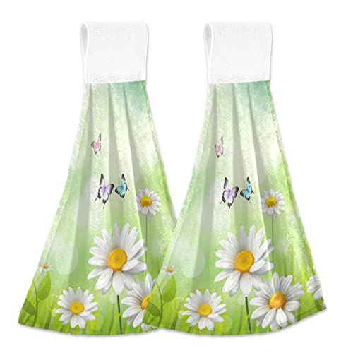 Spring Summer Meadow