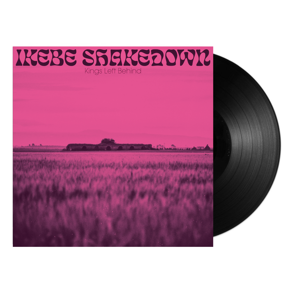Kings Left Behind Vinyl LP - Limited Edition Collectible Record for Music Enthusiasts & Audiophiles | Perfect for Home Listening, Gifts, and Vinyl Collections