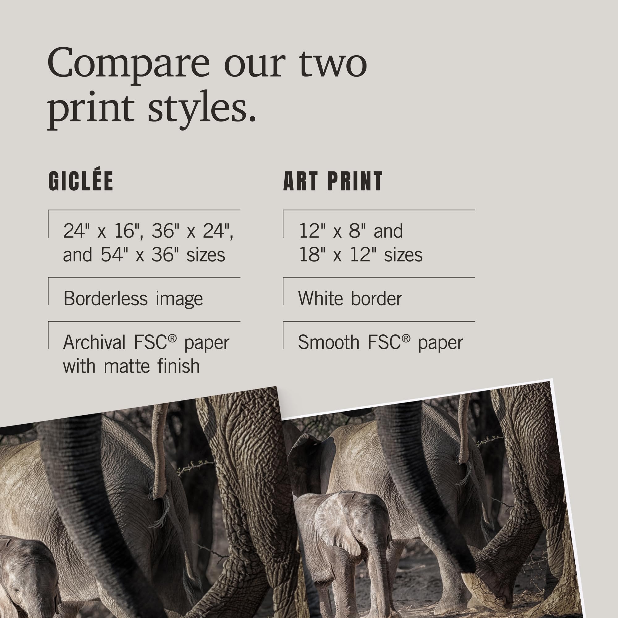 Lantern Press 16x24 Inch African Elephant Family Giclee Art Print - Premium Wall Decor for Living Room, Bedroom & Office