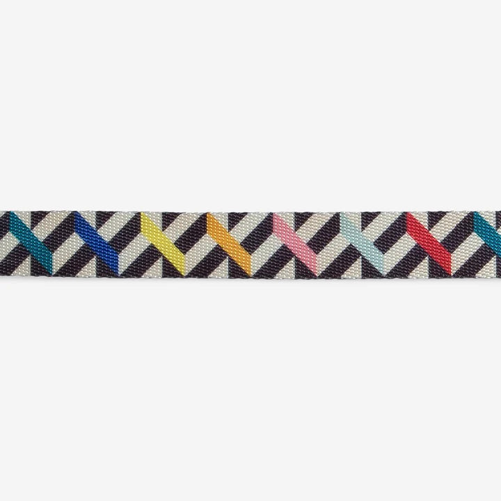 Fritz Zee.Dog Cat Collar - Adjustable, Reflective & Durable Pet Collar for Safety - Perfect for Outdoor Adventures & Night Walks