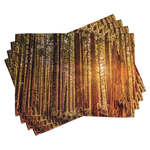 Orange Dark Brown Green