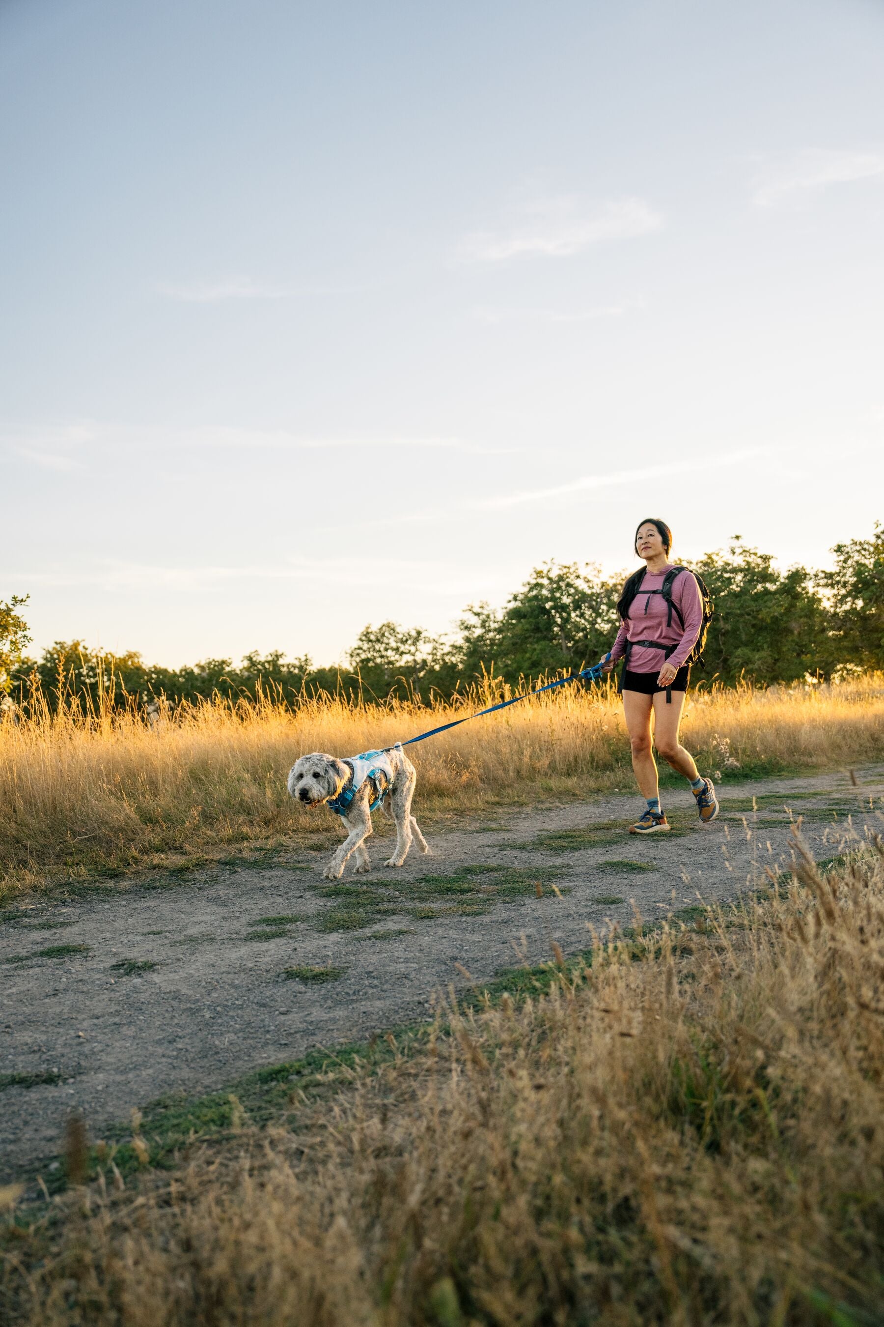 Ruffwear Stash Bag Mini™ Dog Poop Bag Dispenser - Basalt Gray | Portable Waste Bag Holder for Dogs, Perfect for Hiking, Walking & Outdoor Adventures