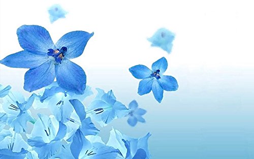 Blue Flowers