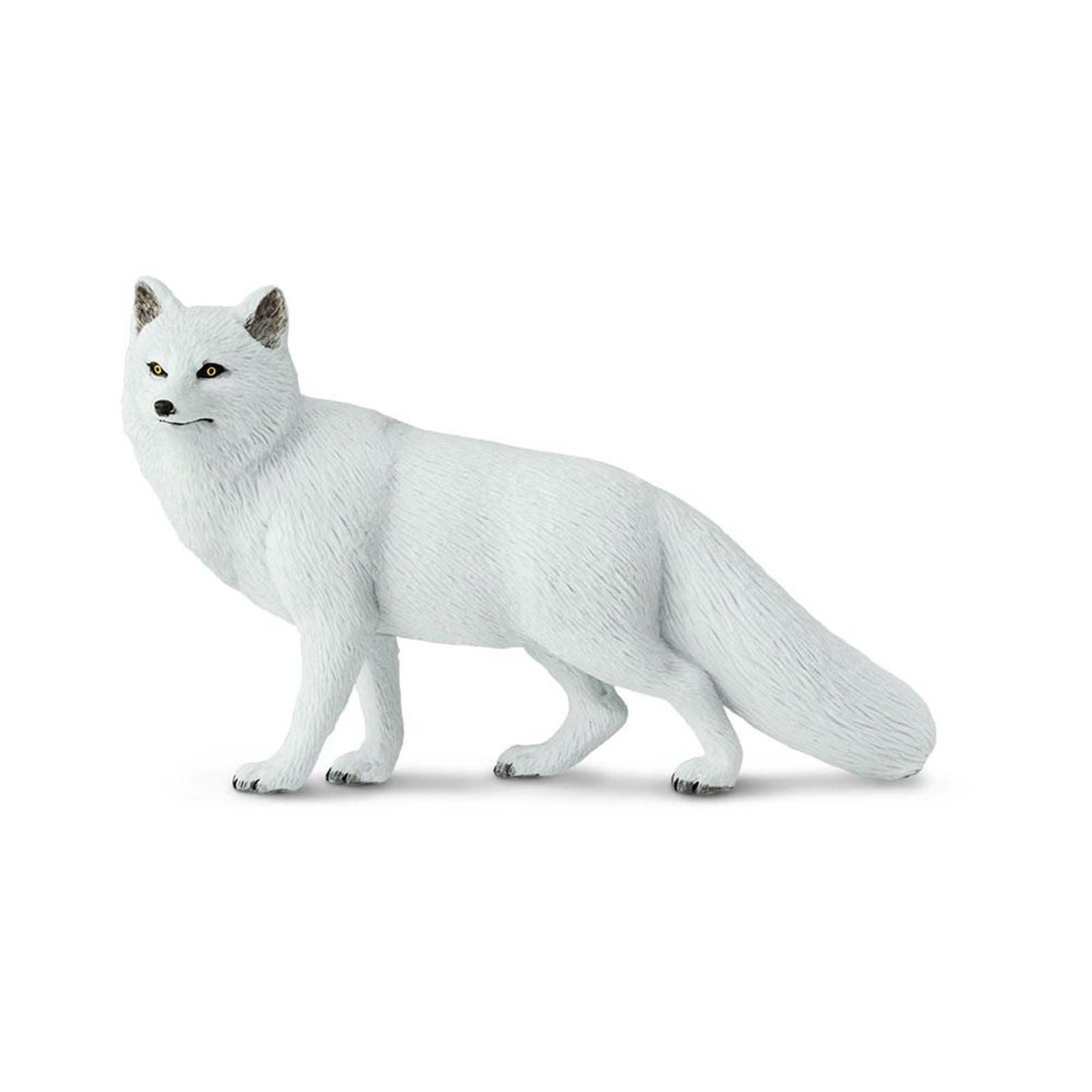 Arctic Fox Wild Safari Animal Figure - Realistic Arctic Fox Toy for Kids Collection | Safari Ltd | Perfect for Educational Play, Wildlife Enthusiasts & Nature-Themed Decor