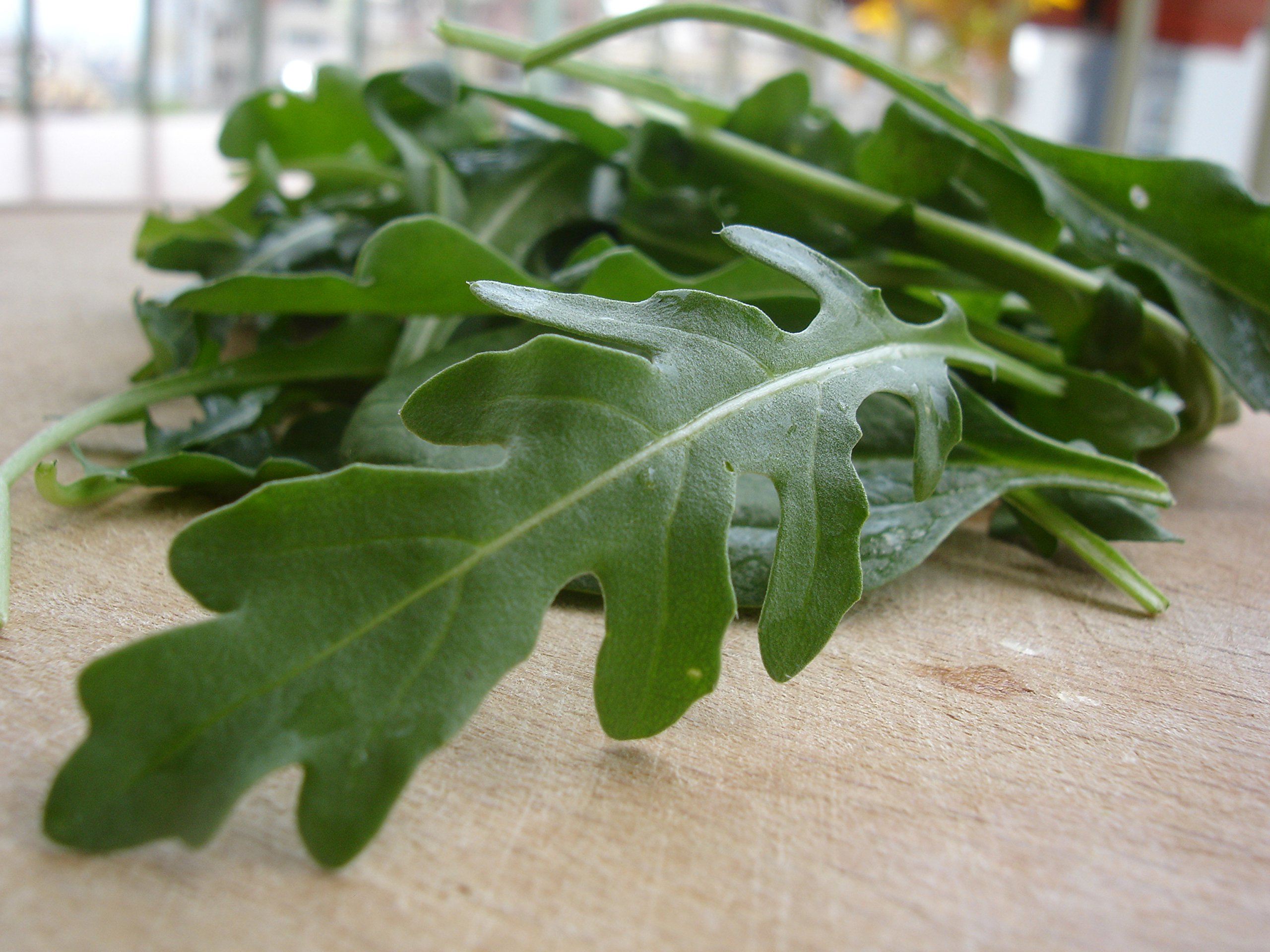 Organic Arugula Seeds - Non-GMO, Fast-Growing (20 Days) - Duckweed & Broadleaf Salad Greens for Planting - Perfect for Home Gardens, Microgreens & Healthy Salads