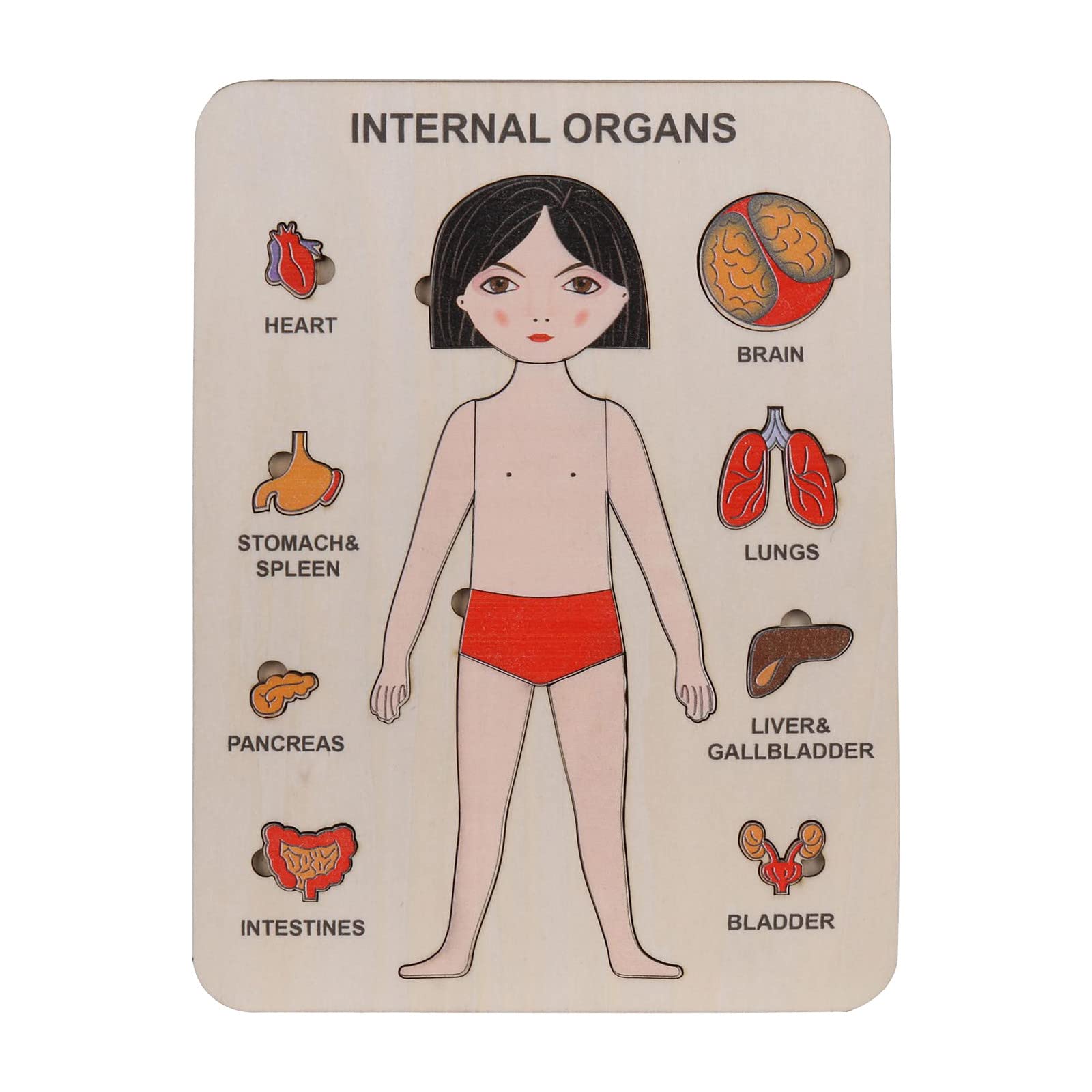 Muised Wooden Anatomy Puzzle for Toddlers - Educational Human Body Organs Montessori Toy for 1-3 Year Olds, Homeschooling Learning Gift for Kids | Perfect for Preschool STEM Activities & Early Childhood Development