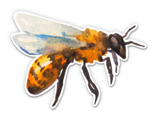 GT Graphics Watercolor Bee - 12