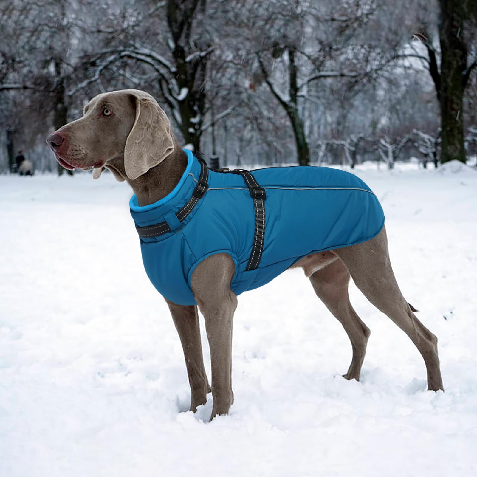 Lelepet Waterproof Reflective Dog Coat with Built-in Harness - XXXL Fleece Winter Jacket for Large Dogs Like Great Danes - Adjustable Zipper for Warmth & Safety in Cold Weather, Rain, and Night Walks