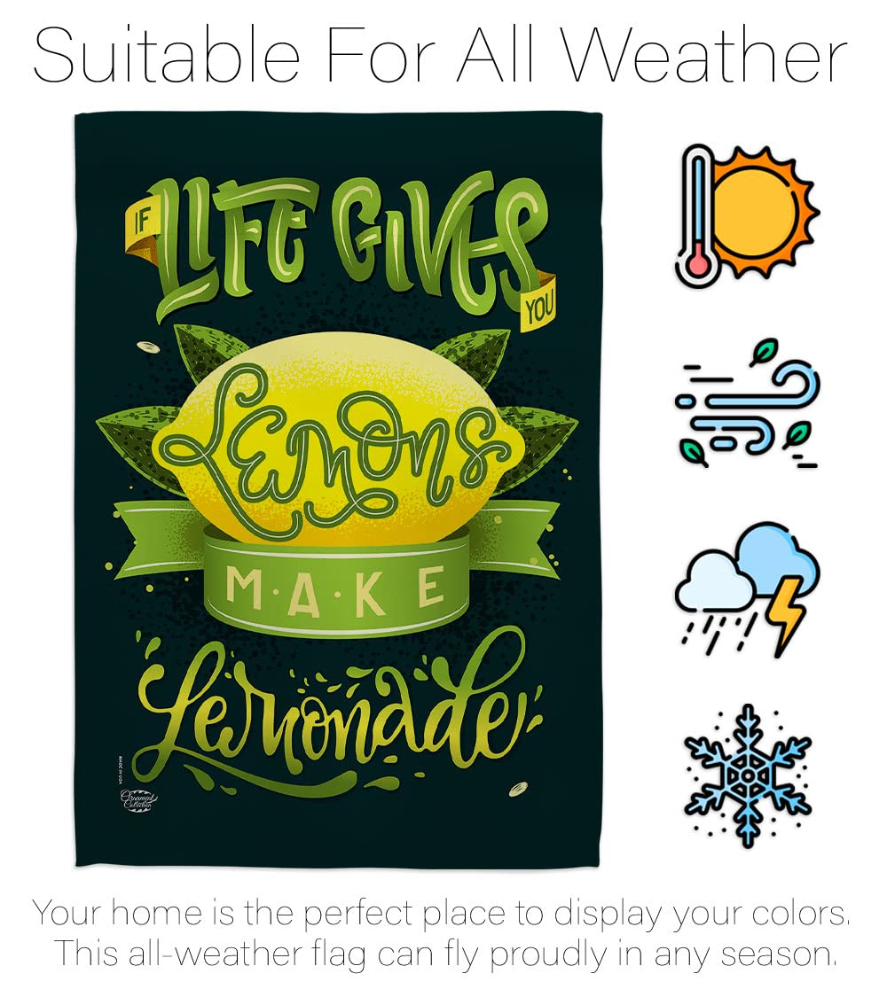 Double-Sided USA Made House Flag Set - Eagle, Tropical Fruits (Lemon, Pineapple, Strawberry, Apple, Watermelon) & Aloha Summer Decor for Garden, Yard, Patio | Outdoor Seasonal Banner & Unique Gift Idea
