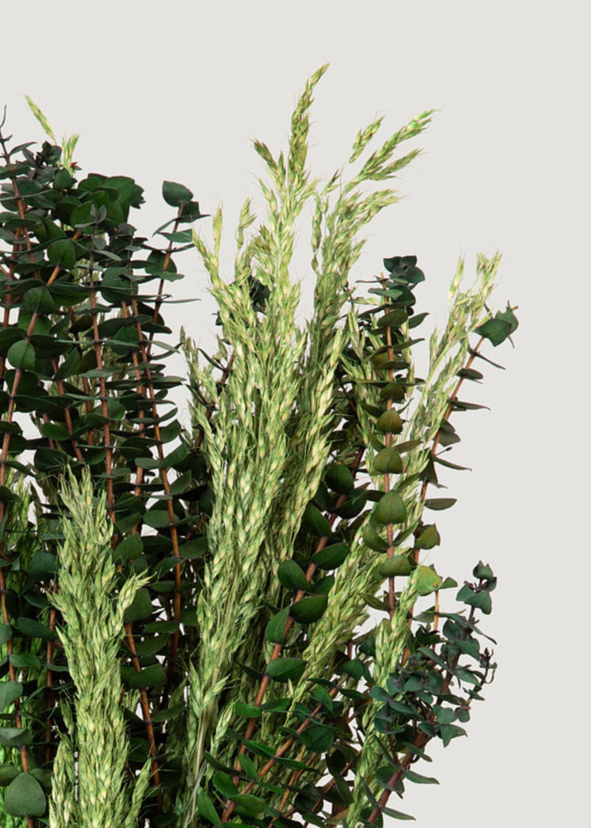 24-Piece Preserved Eucalyptus and Grass Bundle Set - Natural Home Decor for Wedding Centerpieces, Floral Arrangements & Rustic Farmhouse Style