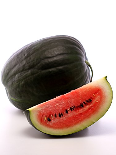 Black Diamond Watermelon Seeds - Giant 50+ lb Fruits | Premium Garden Seeds for Home Growing | Perfect for Summer BBQs & Farmer's Markets