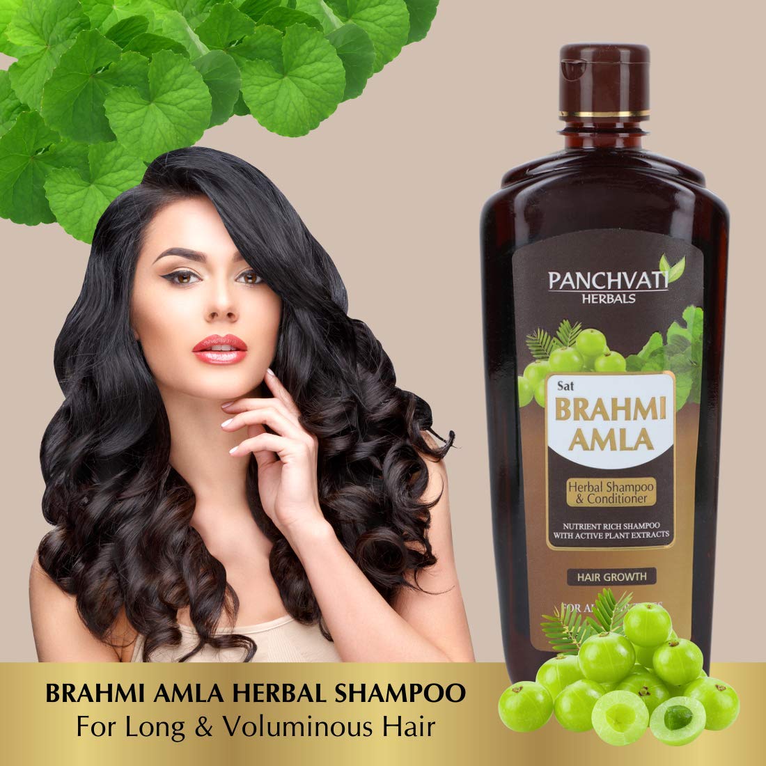 Panchvati Herbals Brahmi Amla Shampoo & Conditioner with Natural Plant Extracts - Promotes Hair Growth, Adds Shine & Volume (500ml) | Ideal for Dry, Damaged Hair & Scalp Care at Home
