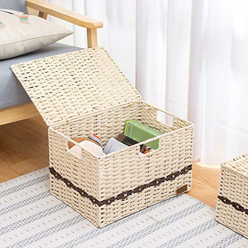 Straw Woven Storage Basket with Lid - Rattan Desktop Organizer for Snacks, Remote Controls - Set of 2 (39x28x26cm) | Perfect for Home, Office & Nursery Organization