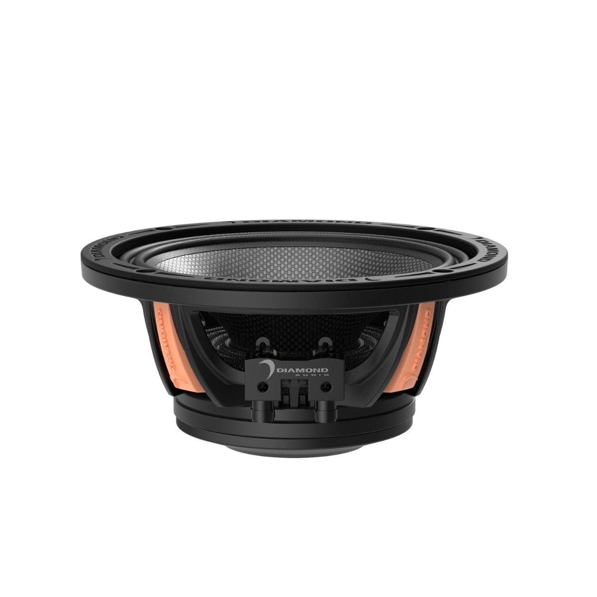 MS65NEO 6.5