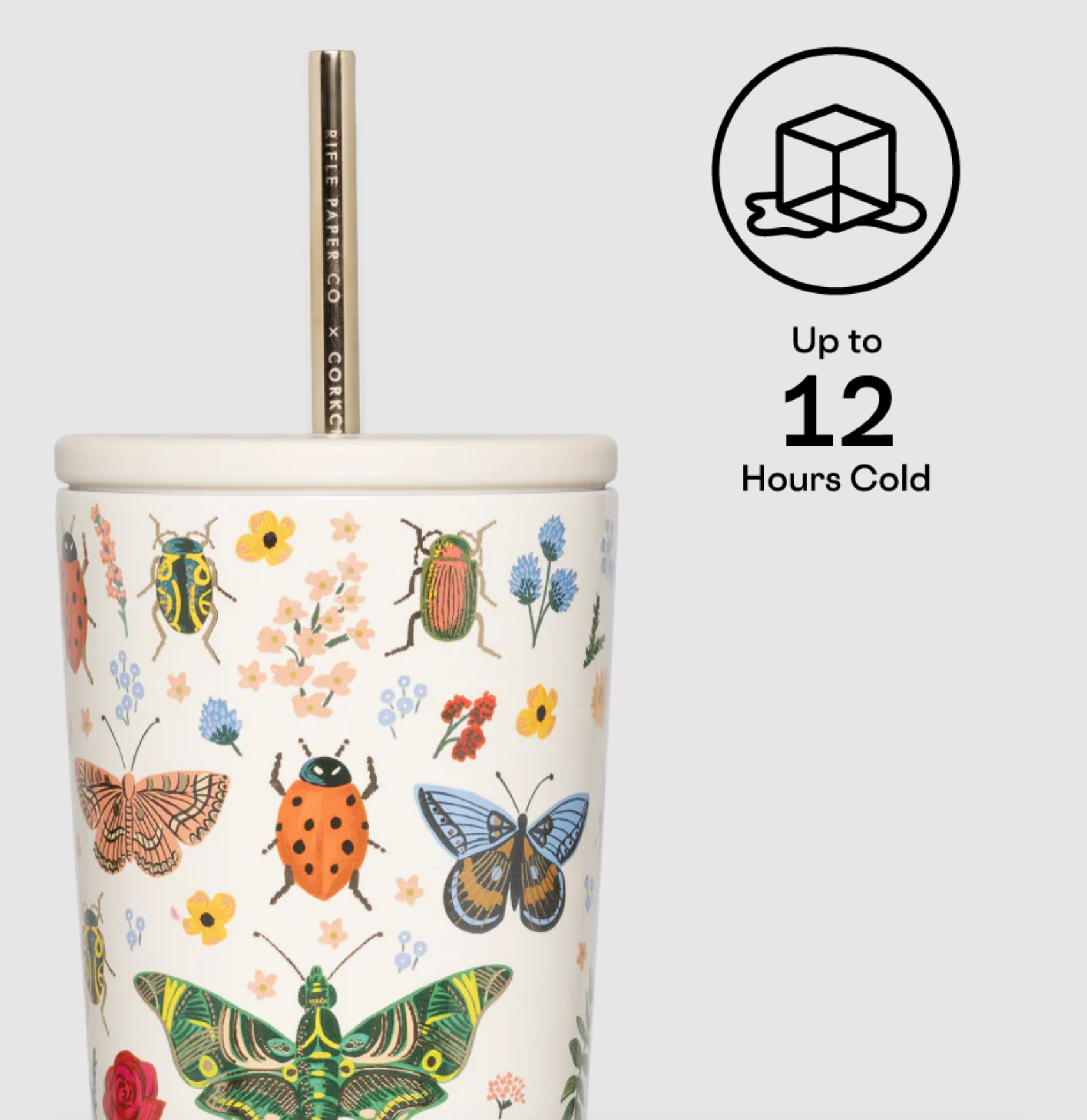 Corkcicle Rifle Paper Co. Insulated Stainless Steel Cold Cup - 16oz Leakproof Tumbler for Iced Coffee, Smoothies & Cold Drinks - Perfect for Office, Gym & Travel