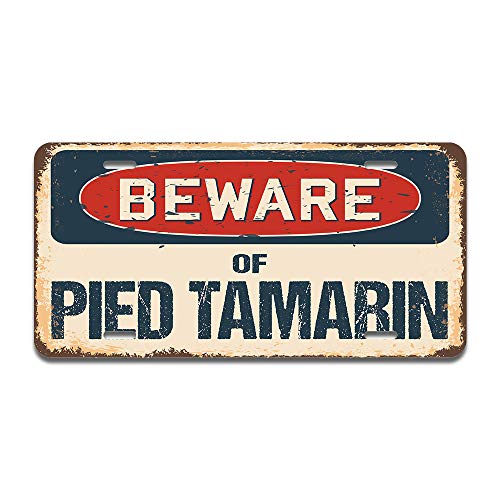 Beware of Pied Tamarin