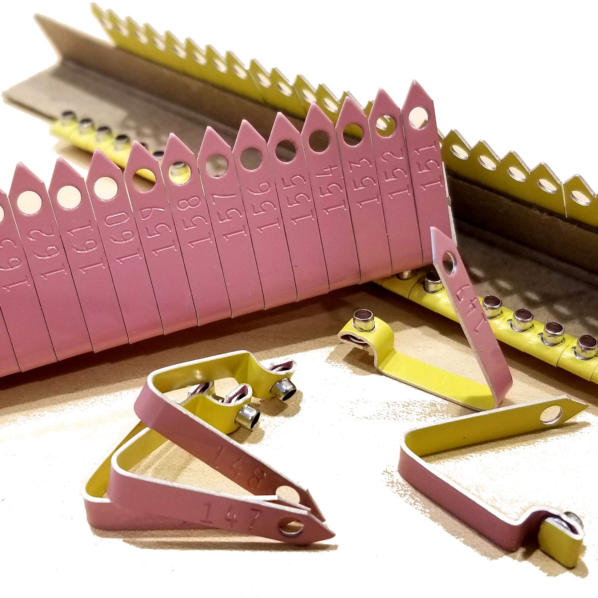 Customized Pink Chicken Zip Wing Bands (700 Pack) - Perfect for Poultry Identification, Farm Organization & Bird Tracking