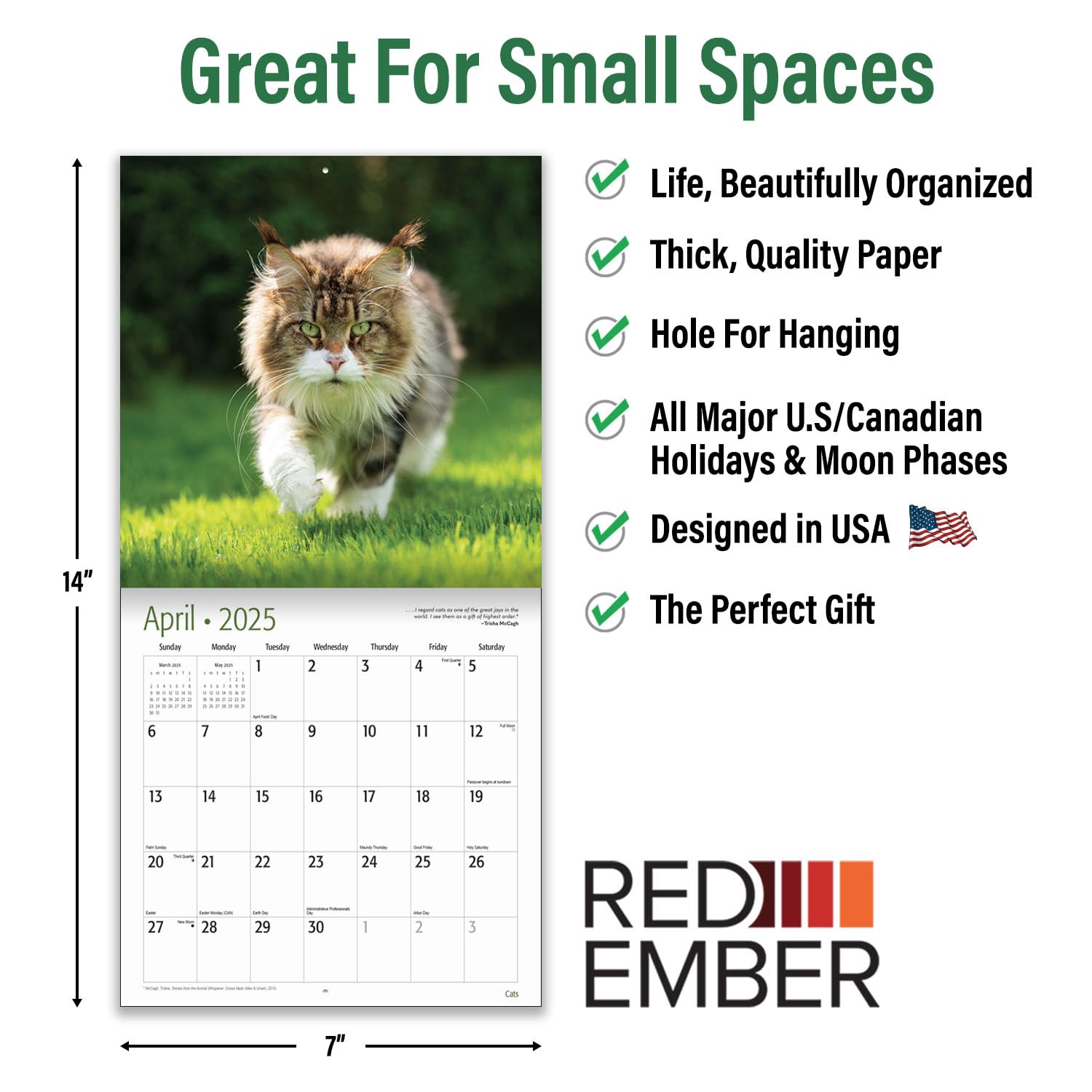 RED EMBER Cats Mini 2025 Wall Calendar - 12 Month Cute Cat Lovers Calendar (7
