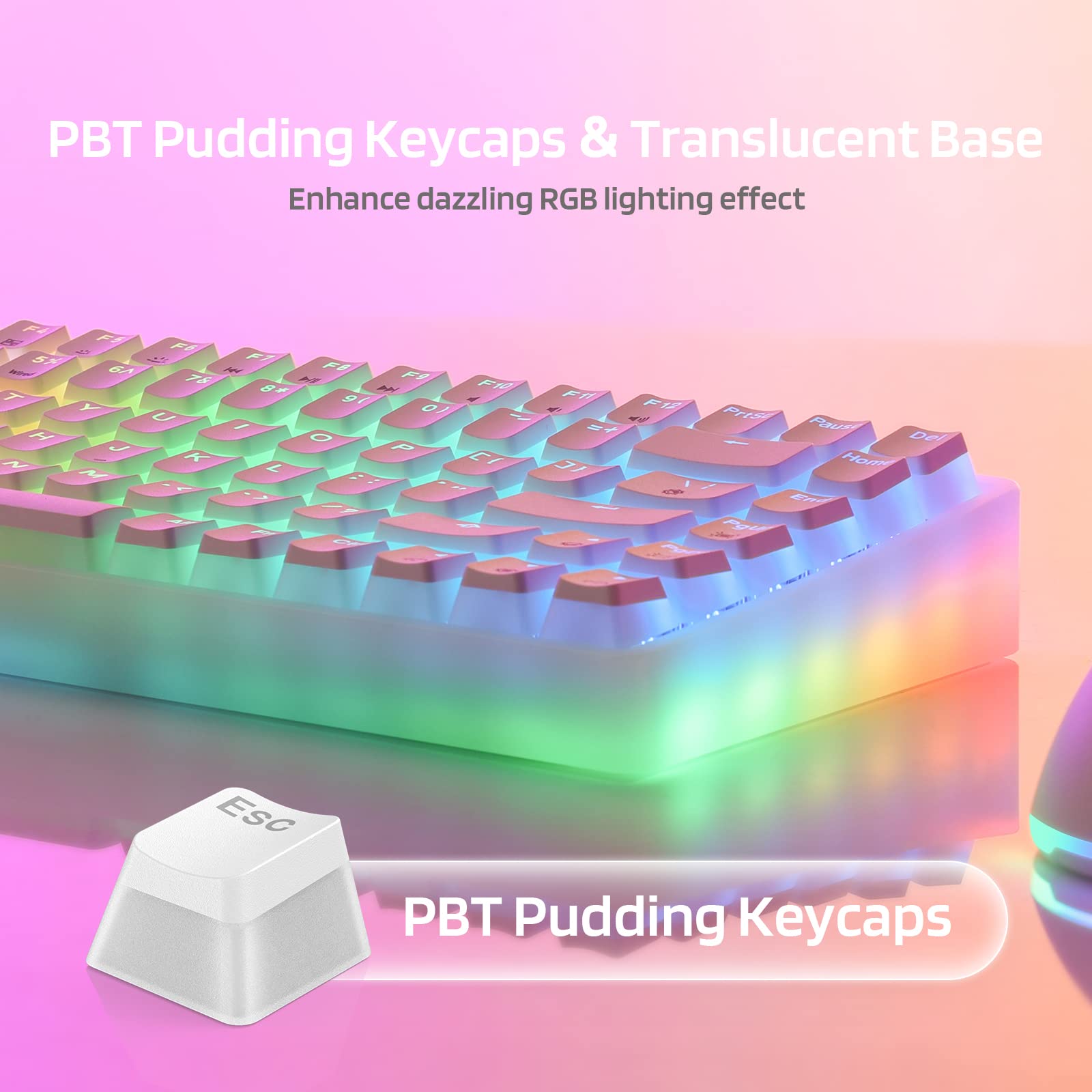 LTC Neon75 Wireless 75% Mechanical Keyboard - Bluetooth RGB Gaming for PC/Mac