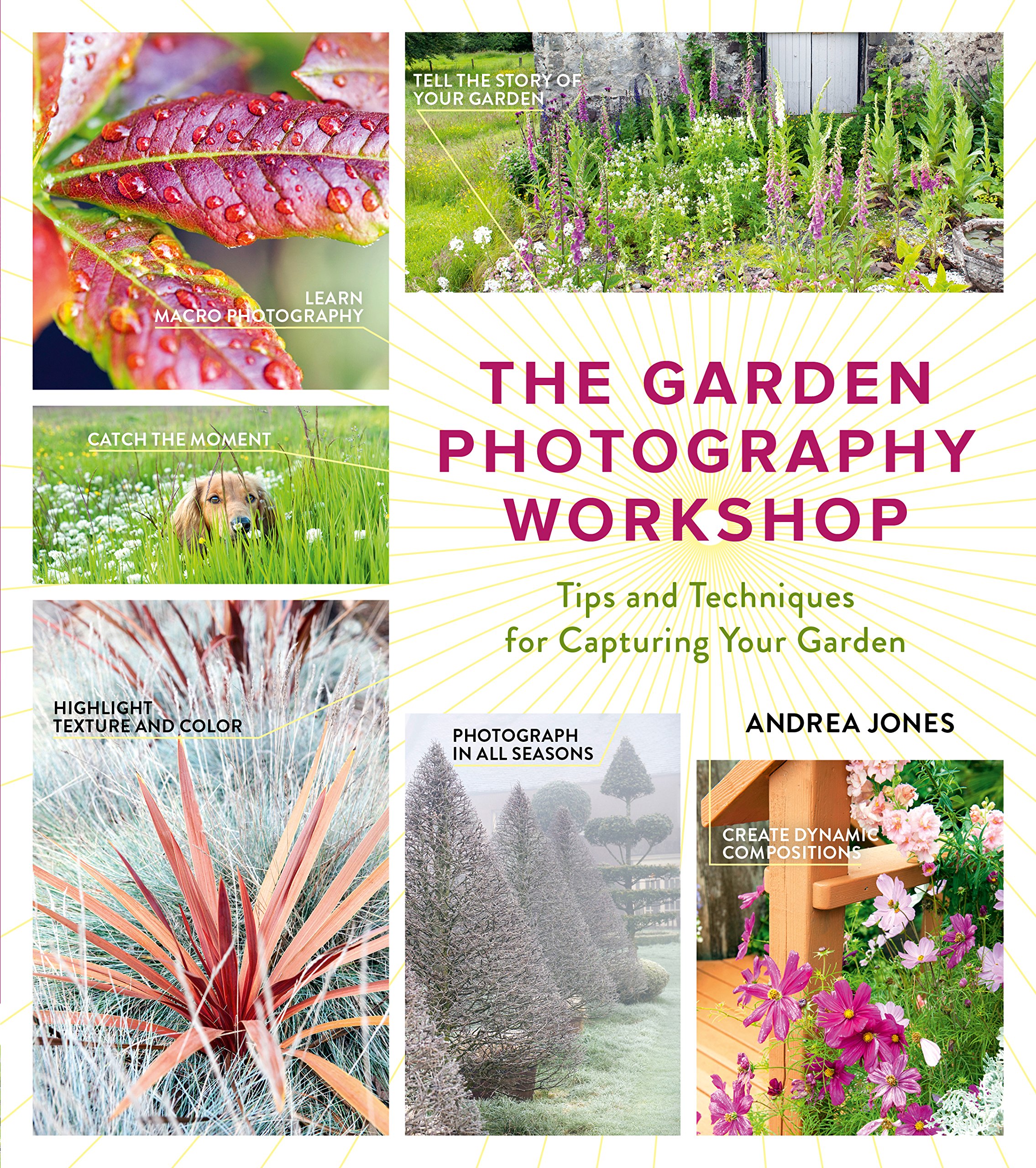 Garden Photography Workshop Guide - Professional Tips & Techniques for Stunning Garden Photos | Perfect for Nature Lovers, Landscape Photographers & Instagram Content Creators